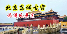 露屄露咪咪中国北京-东城古宫旅游风景区